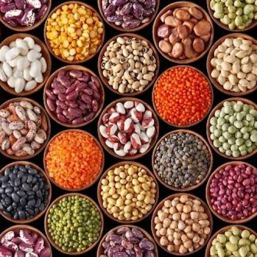 Pulses & Spices Pulses & Spices